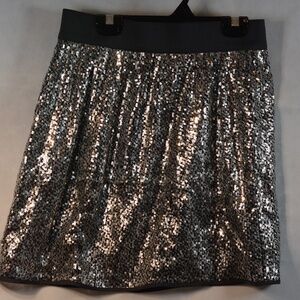 GAP Sequin Skirt SZ 4
